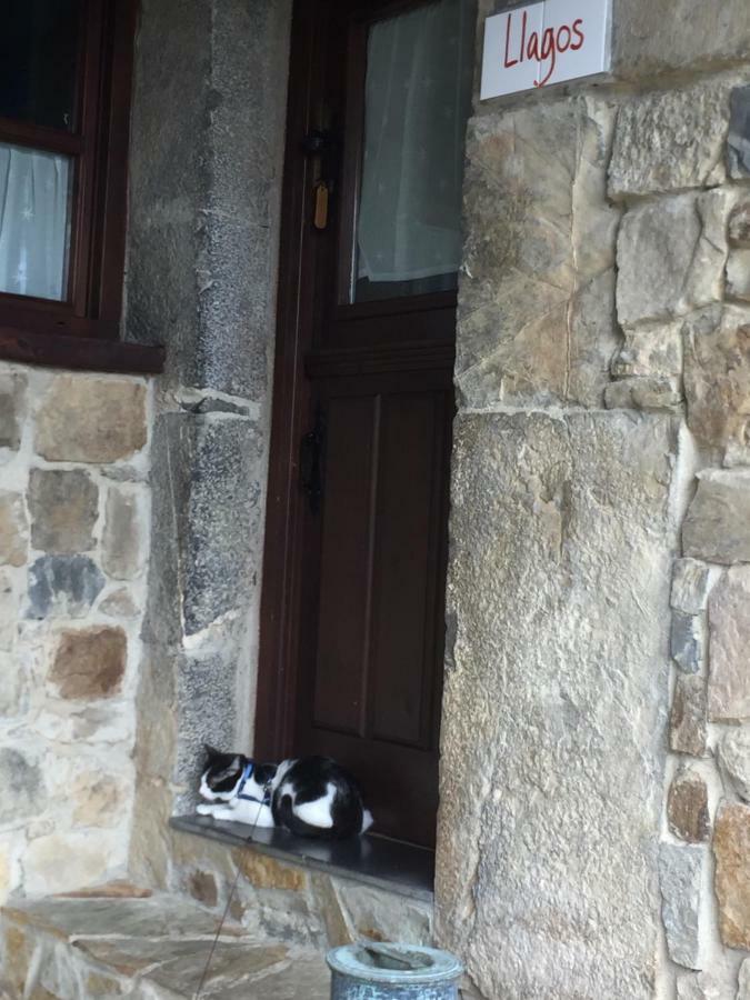 La Xamoca Apartamentos Rurales Campiellos Екстериор снимка